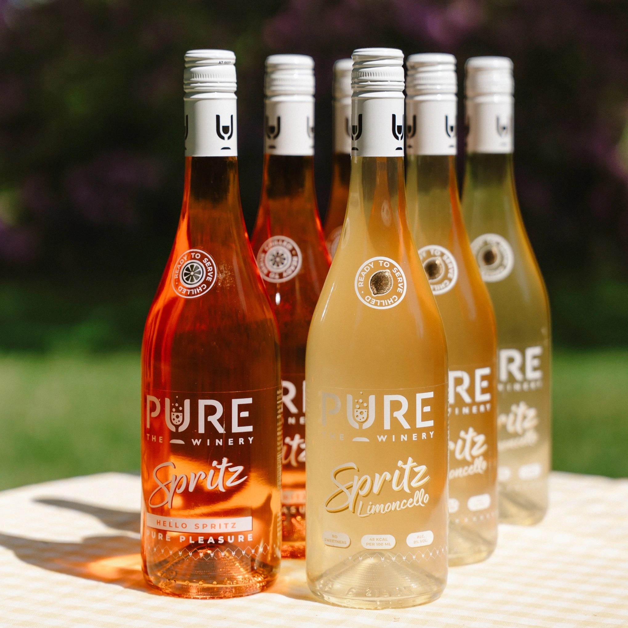 Spritz Introductory Offer